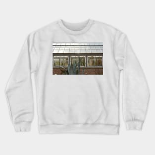 Plant Lady Succulent Cactus Greenhouse Crewneck Sweatshirt